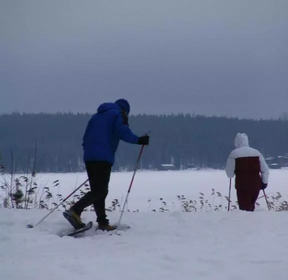 هتل Honkiniemi
