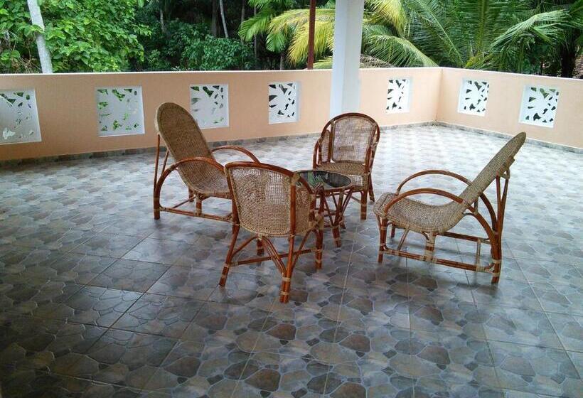 Отель King Coconut Lodge