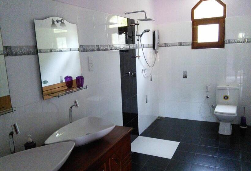 Отель King Coconut Lodge