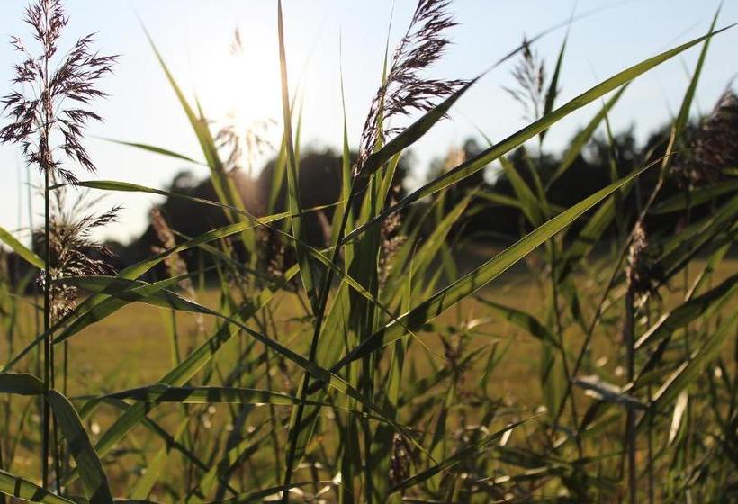 בית מלון כפרי Meri Karina