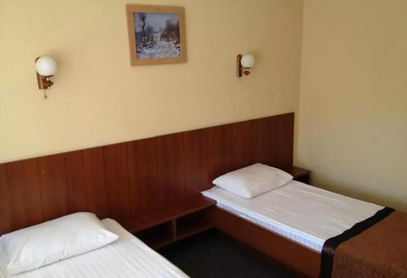 Hôtel Tsentralniy