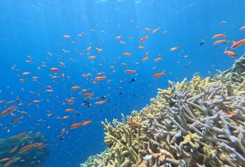 منتجع エコヴィレッジ西表 Eco Village Iriomote