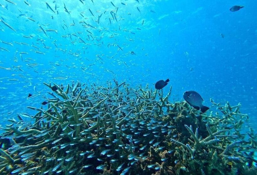 منتجع エコヴィレッジ西表 Eco Village Iriomote