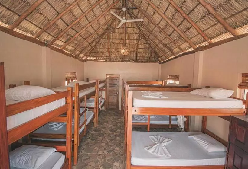 The Barrel Hostel