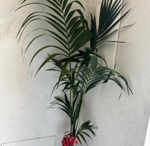 تختخواب و صبحانه Suite La Vigna