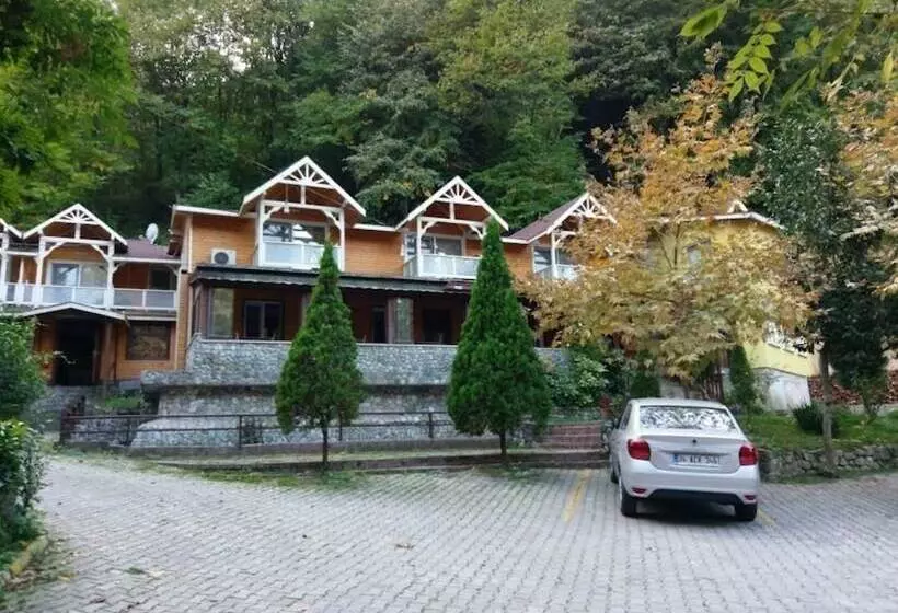 Hotelli Maşukiye Dream Homes