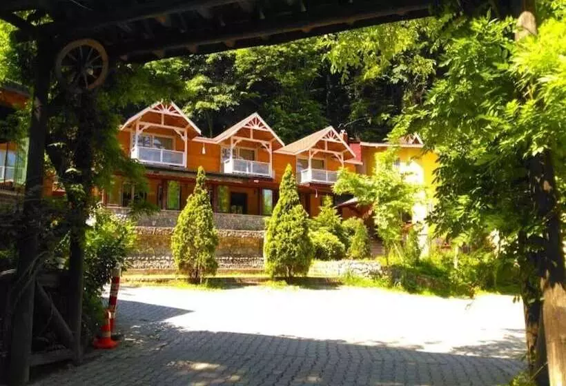 Hotelli Maşukiye Dream Homes