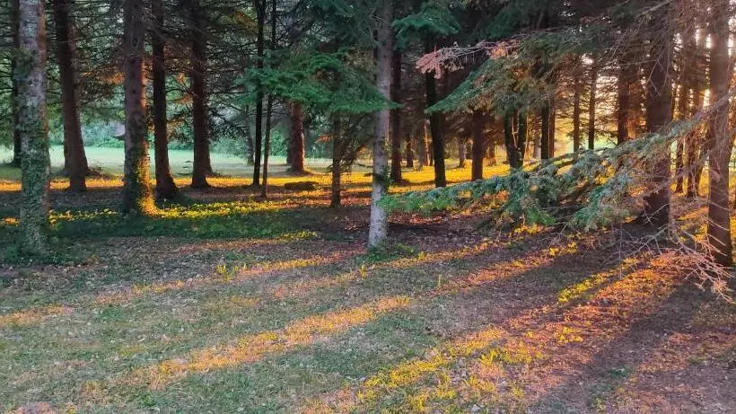 Aamiaismajoitus (B&B) Le Bois Des Fées De Chazelles