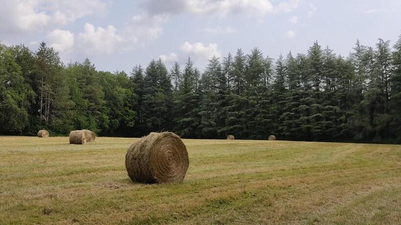 Bed and Breakfast Le Bois Des Fées De Chazelles