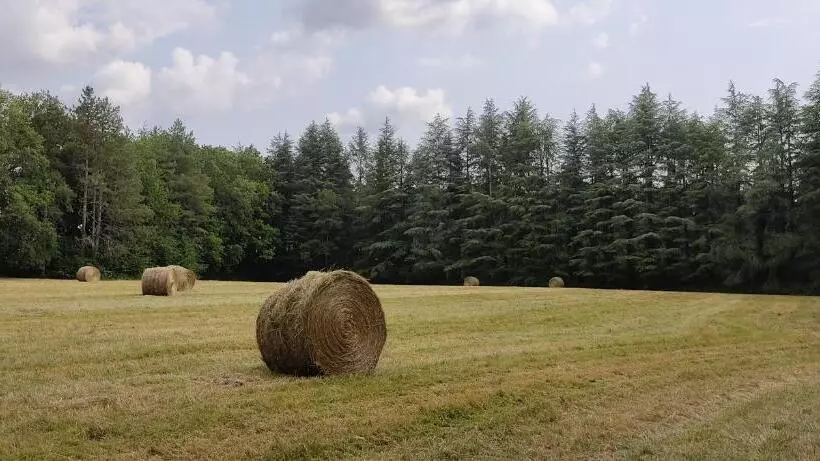 Aamiaismajoitus (B&B) Le Bois Des Fées De Chazelles
