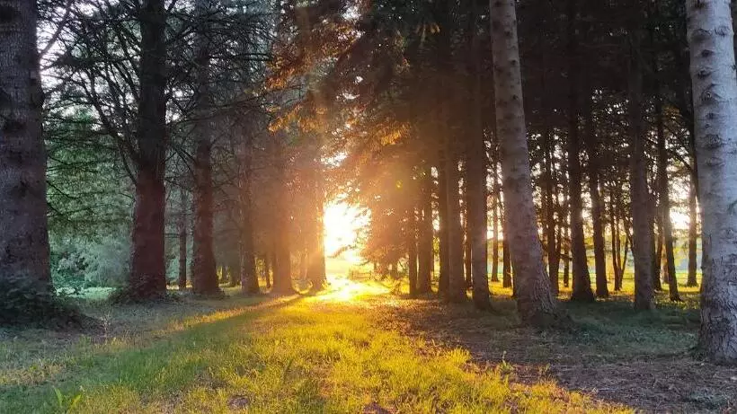 Aamiaismajoitus (B&B) Le Bois Des Fées De Chazelles