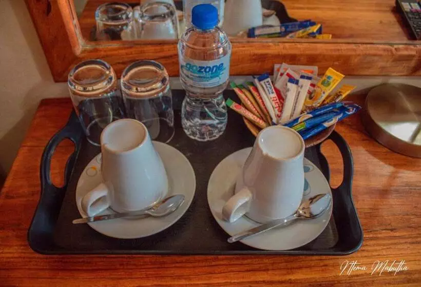 تختخواب و صبحانه The Chobe Inn