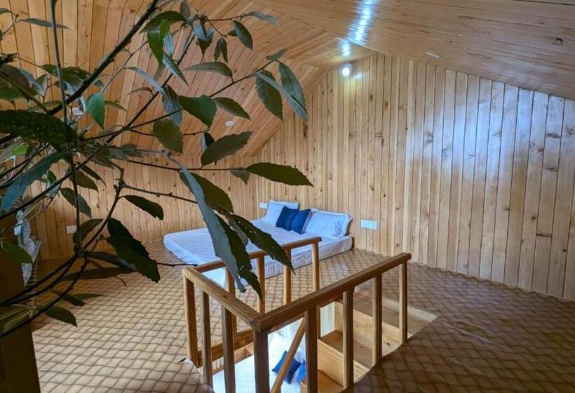 Hotel Jibhi View Tree House Jibhi