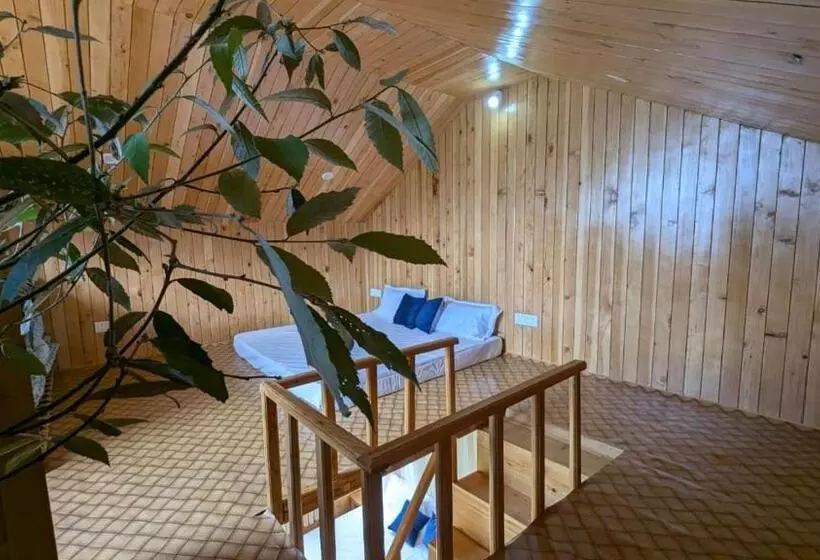 ホテル Jibhi View Tree House Jibhi