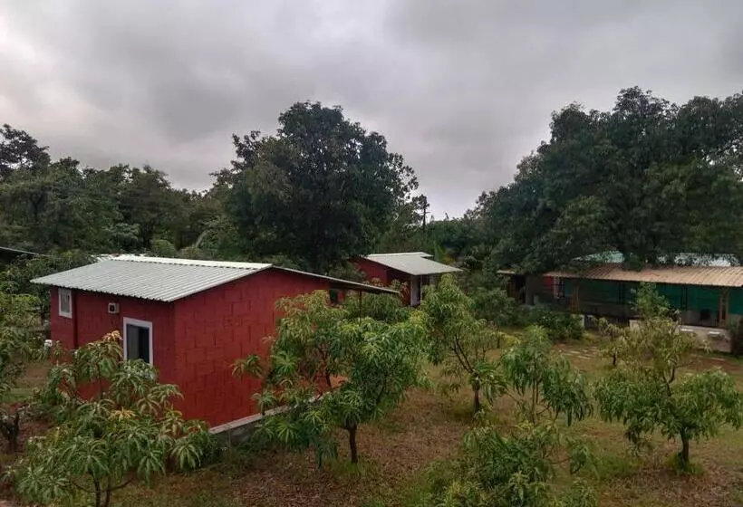 Hotelli Wild Flower Agro Resort