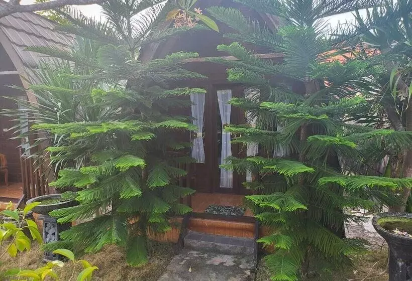 پانسیون Jambu Guesthouse Nusa Penida