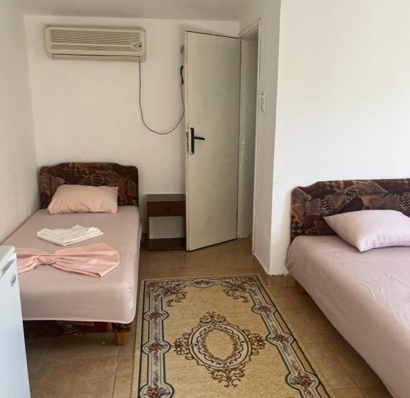 پانسیون Nena Ny