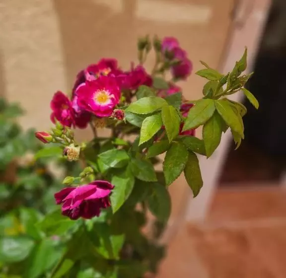 ベッドアンドブレックファースト Maranatha Guest House En Provence