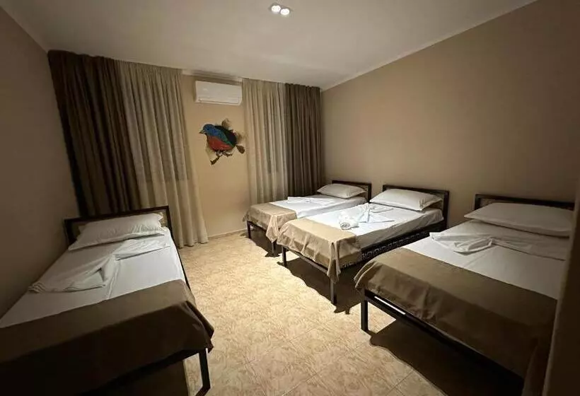 Birds Hostel