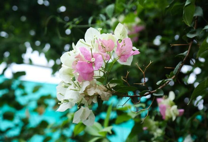 בית מלון כפרי Kesar Residency