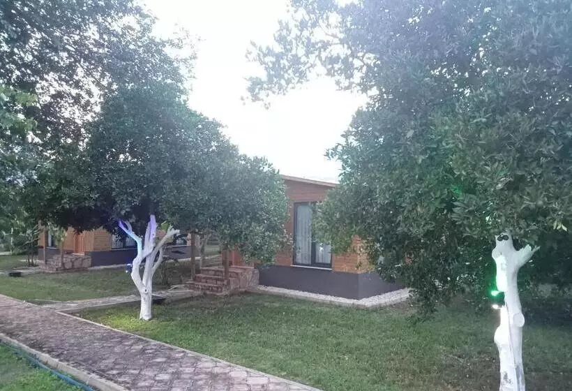 Metenin Tatil Evleri
