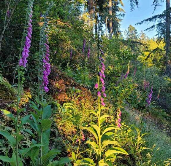 ペンション West Vancouver Sunset Guesthouse