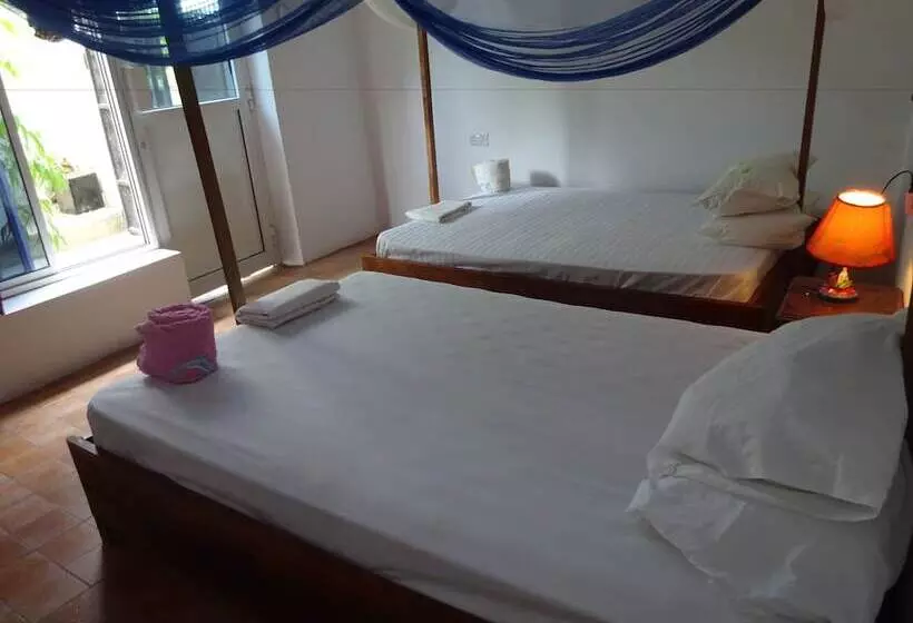ベッドアンドブレックファースト Homeland Swahili Lodge   Hostel