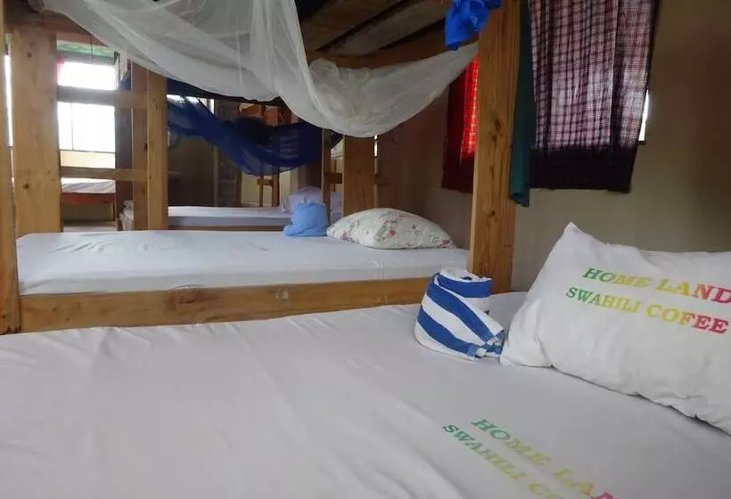 ベッドアンドブレックファースト Homeland Swahili Lodge   Hostel