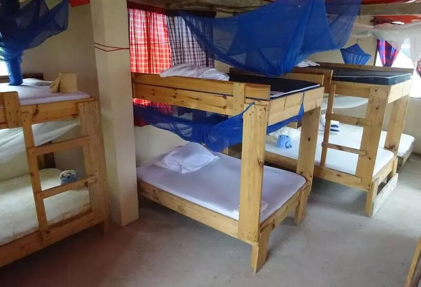 ベッドアンドブレックファースト Homeland Swahili Lodge   Hostel