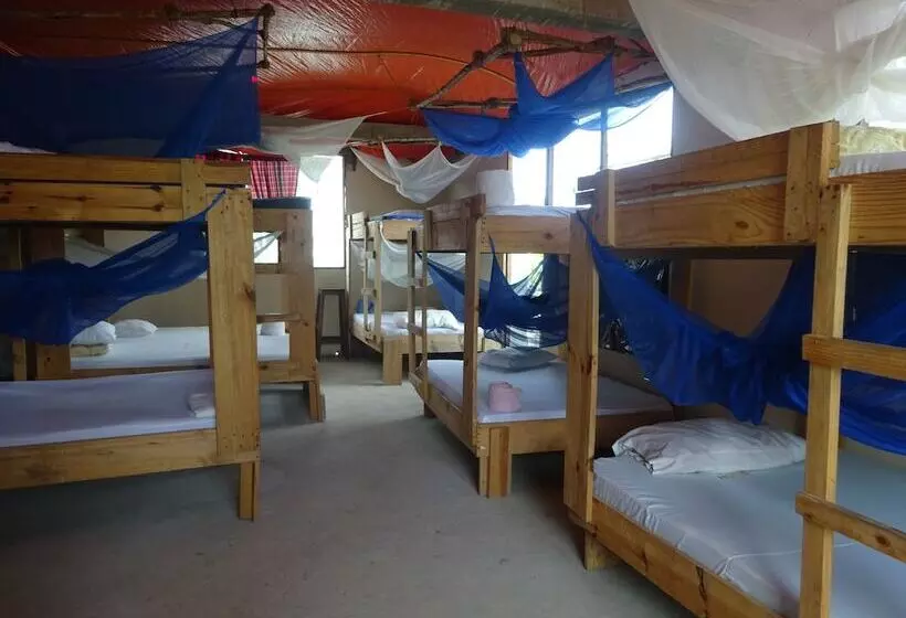 ベッドアンドブレックファースト Homeland Swahili Lodge   Hostel