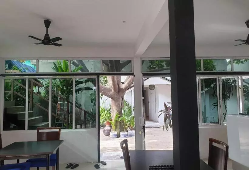 تختخواب و صبحانه Maafushi View