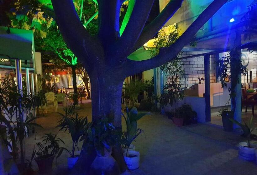 تختخواب و صبحانه Maafushi View