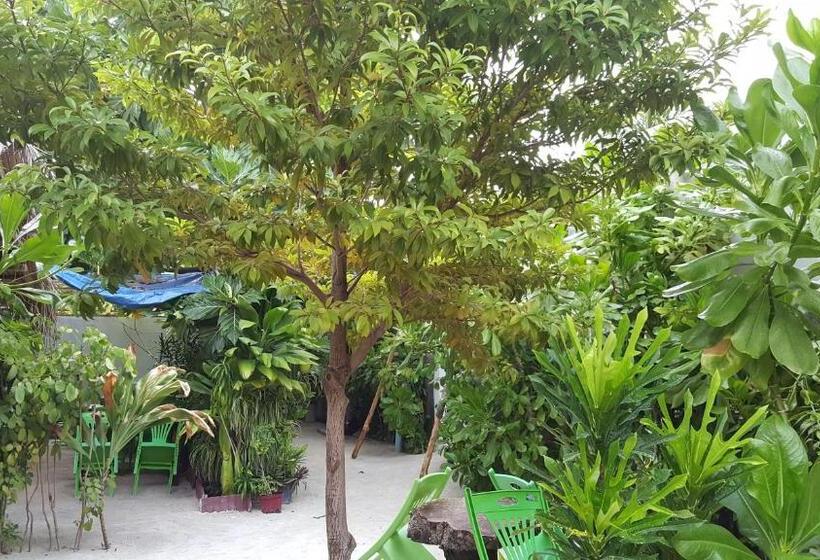 تختخواب و صبحانه Maafushi View