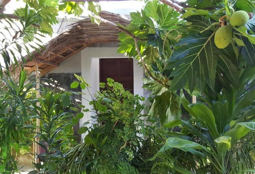 تختخواب و صبحانه Maafushi View