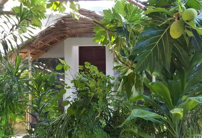 تختخواب و صبحانه Maafushi View