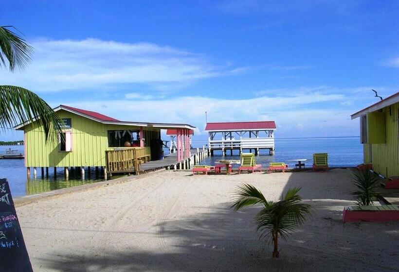 ホテル Alan S Paradise