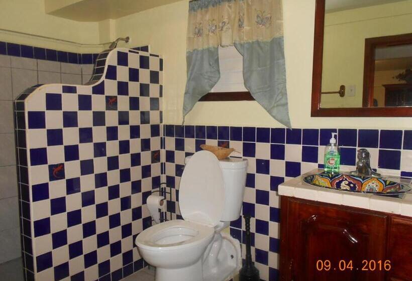 ホテル Alan S Paradise