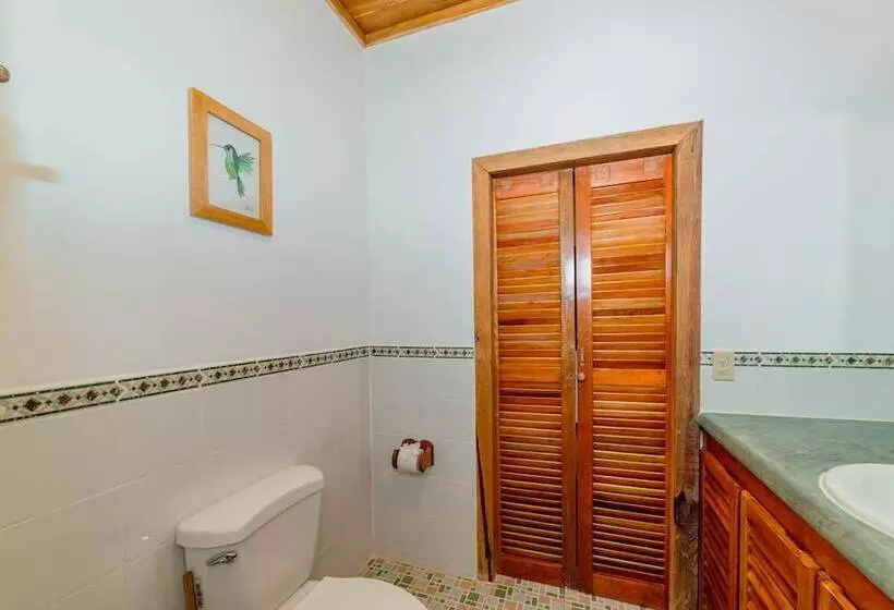 هتل Cocolobo Resort