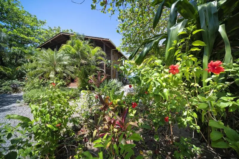 هتل Cocolobo Resort