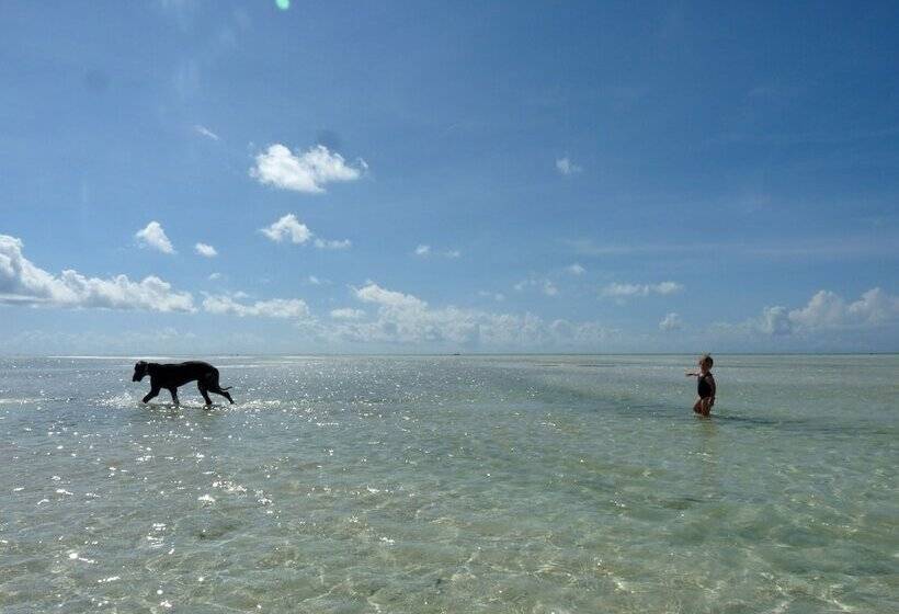 فندق Paje By Night Bungalows