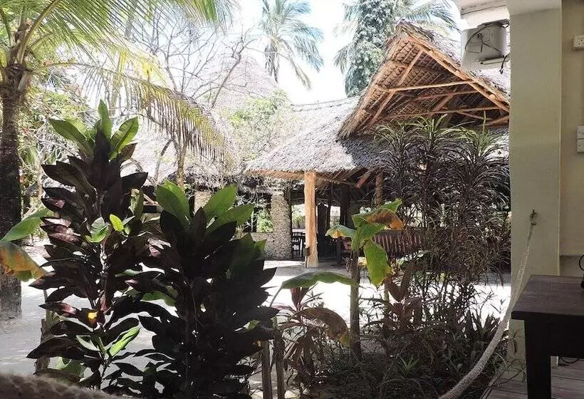 ホテル Paje By Night Bungalows
