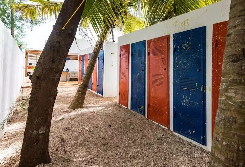 ホテル Paje By Night Bungalows