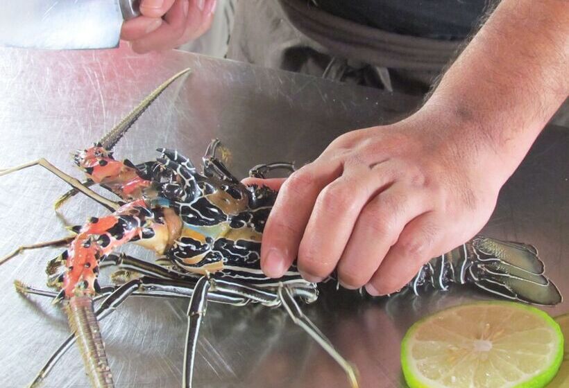 Pleasant View Resort