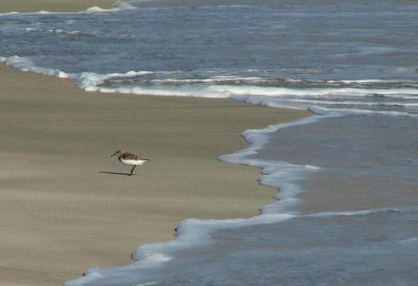 Simabo's Backpackers' Hostel