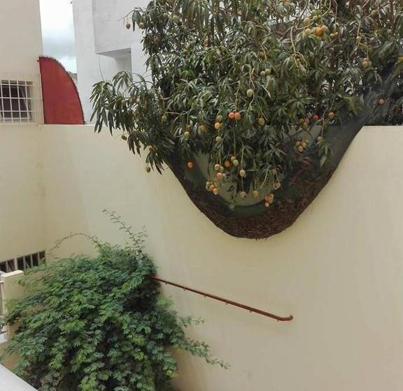 Simabo's Backpackers' Hostel