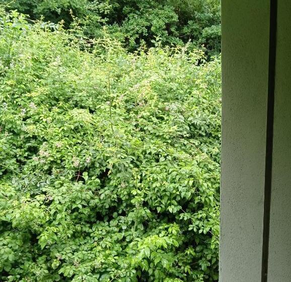 호스텔 La Panoramica A Molino Del Pallone