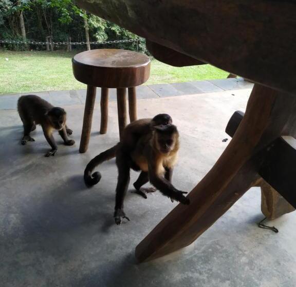 הוסטל Pousada E Camping Claro Casa De Pedra De Delfinópolis Mg