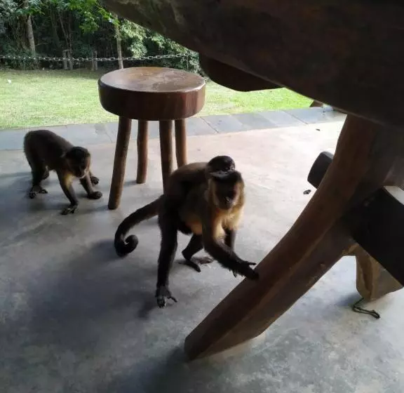 Retkeilymaja Pousada E Camping Claro Casa De Pedra De Delfinópolis  Mg