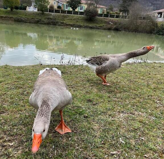 Bed and Breakfast Le Caousate