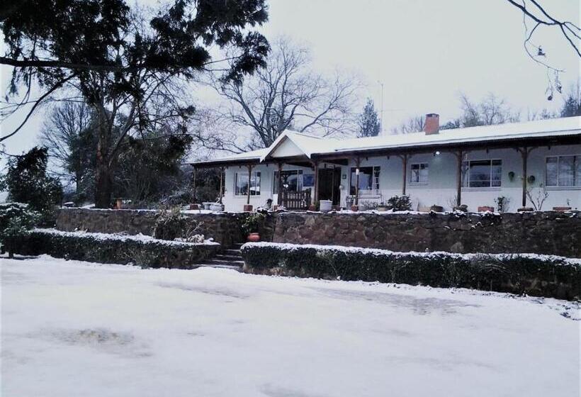 ベッドアンドブレックファースト Tumble In